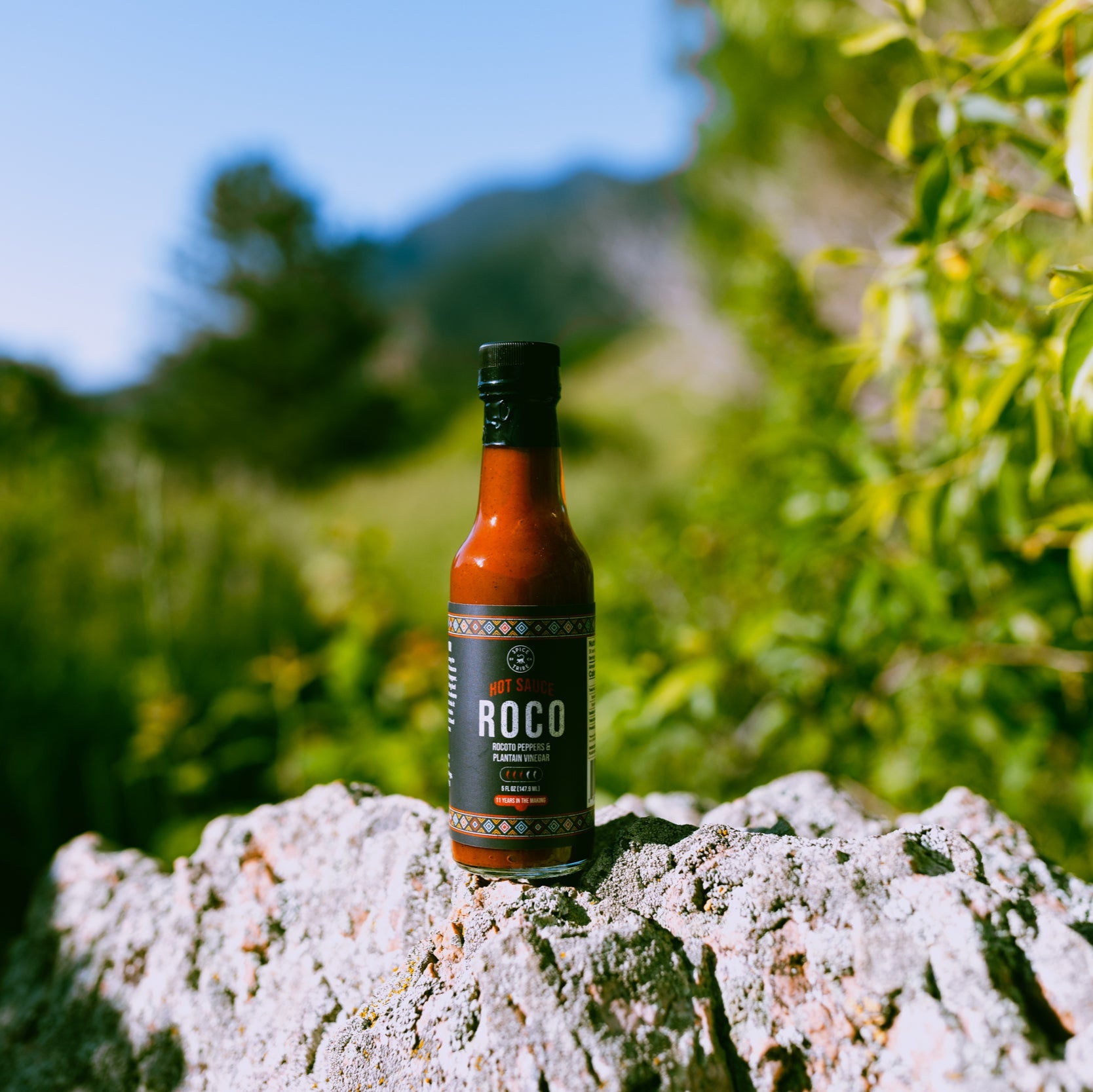 Roco Hot Sauce - 5 oz